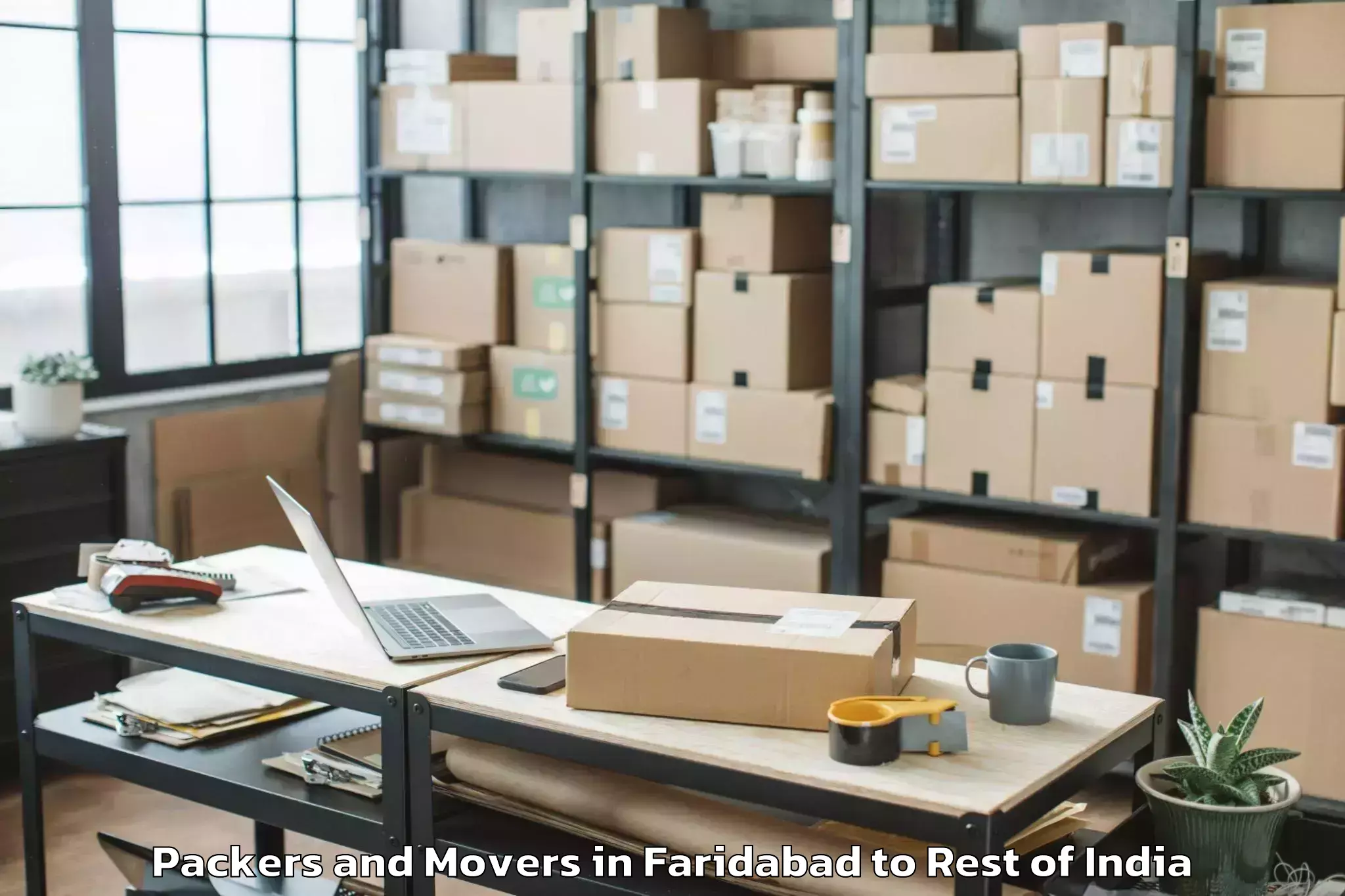 Expert Faridabad to Neradigonda 2 Packers And Movers